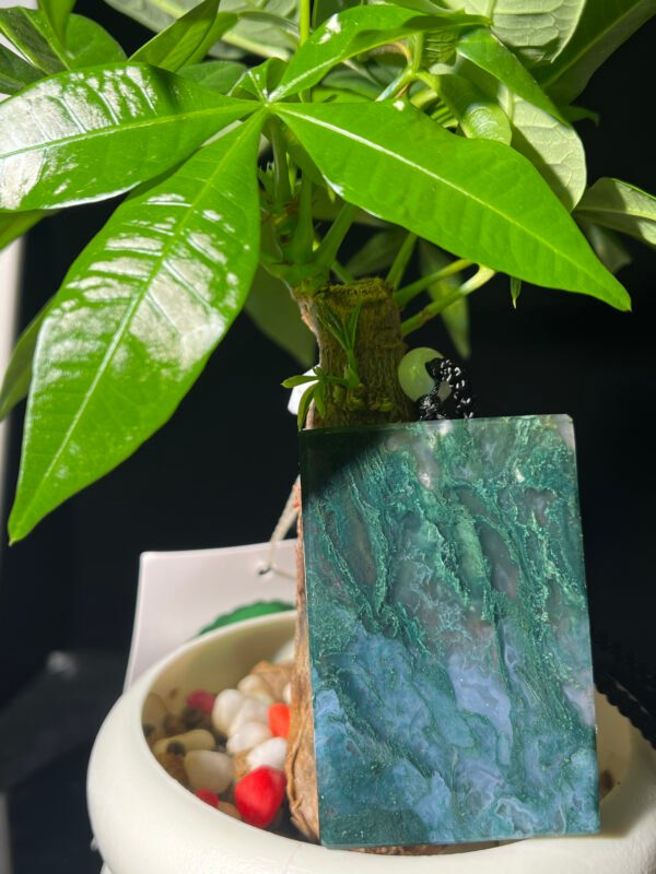 Emerald Shadow Forest Agate Peace Pendant